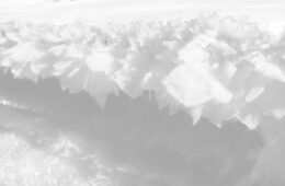 01-24 - kristallreich